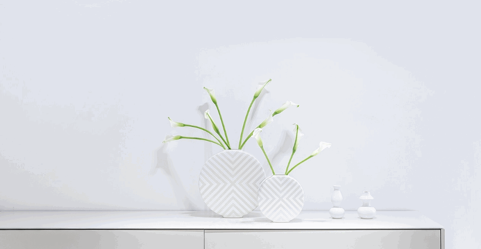 Primary image 956x495.png