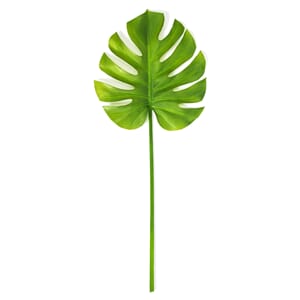 Nunc et magna mauris